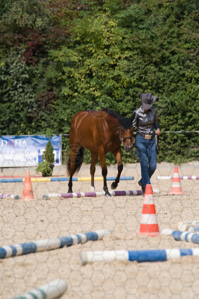 s_batch_A9_00078.jpg